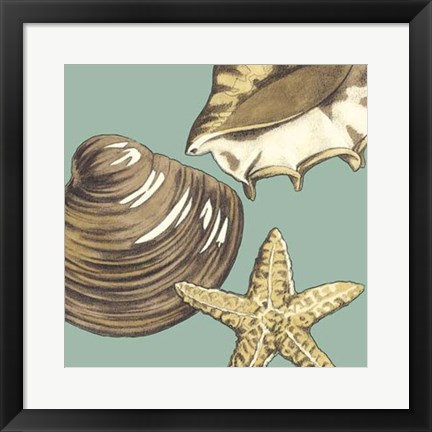 Framed Shell Trio on Blue IV Print