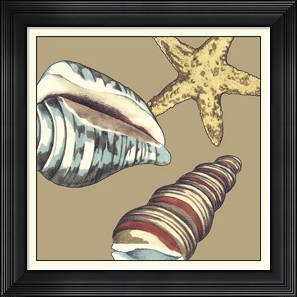 Framed Shell Trio on Khaki I Print
