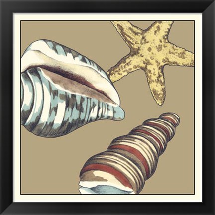 Framed Shell Trio on Khaki I Print