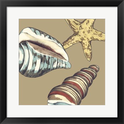 Framed Shell Trio on Khaki I Print
