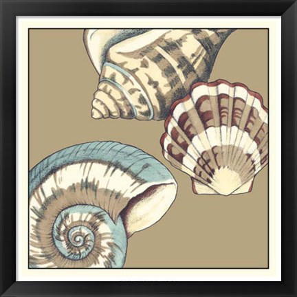 Framed Shell Trio on Khaki II Print