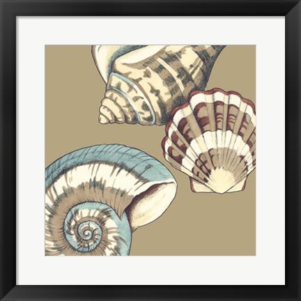 Framed Shell Trio on Khaki II Print
