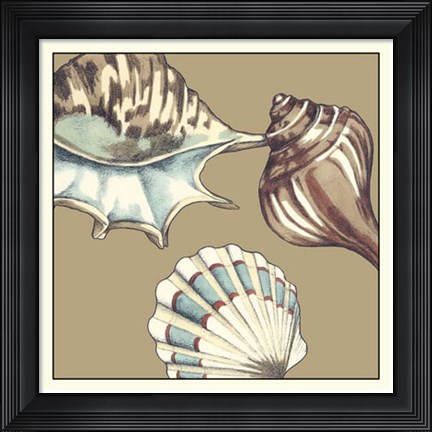 Framed Shell Trio on Khaki III Print