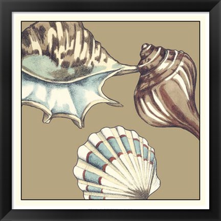 Framed Shell Trio on Khaki III Print