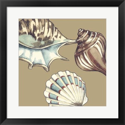 Framed Shell Trio on Khaki III Print