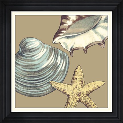 Framed Shell Trio on Khaki IV Print