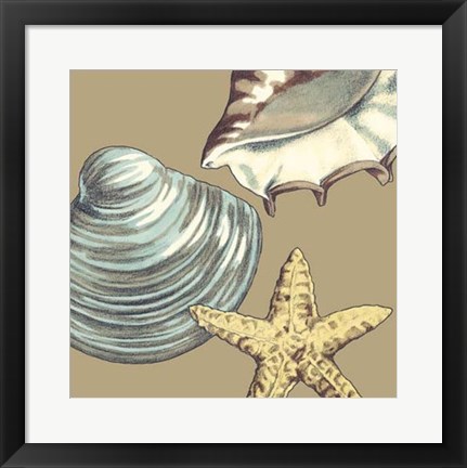 Framed Shell Trio on Khaki IV Print