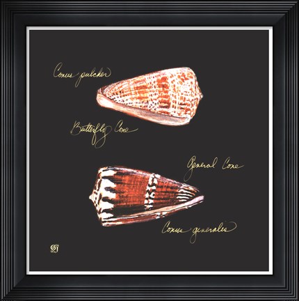 Framed Striking Shells III Print