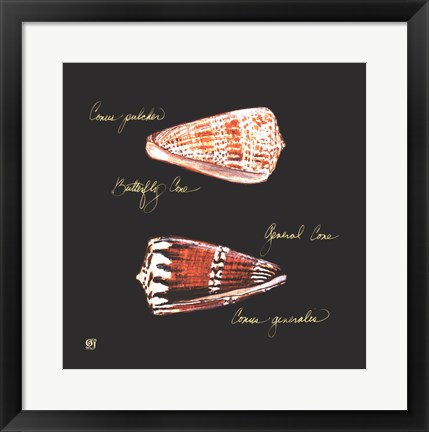 Framed Striking Shells III Print