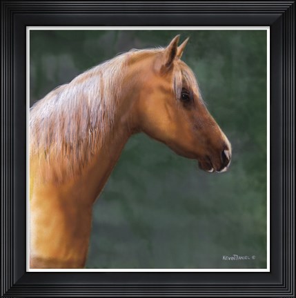 Framed Palomino Print