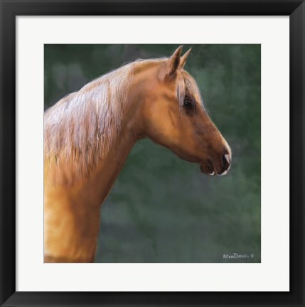Framed Palomino Print