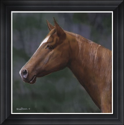 Framed Quarter Horse Print