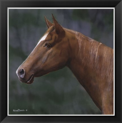 Framed Quarter Horse Print