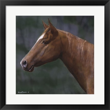 Framed Quarter Horse Print