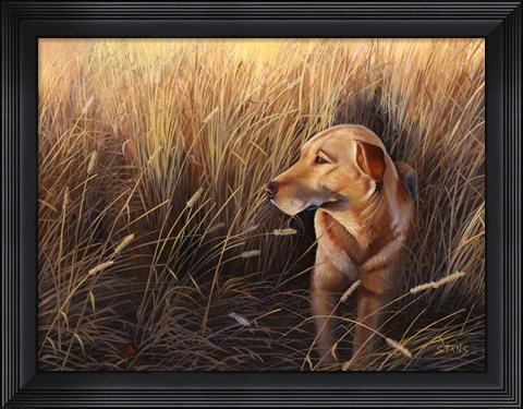 Framed Golden Grass Print