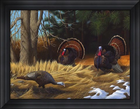 Framed Turkies Print