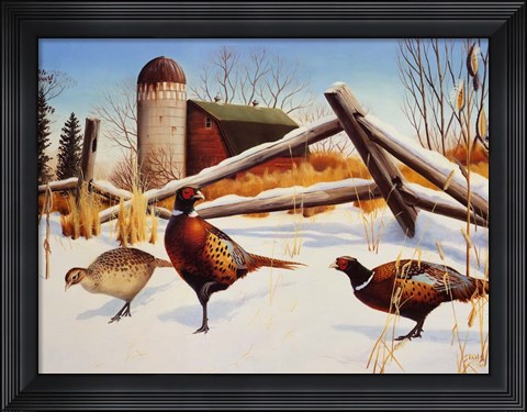 Framed Pheasants II Print