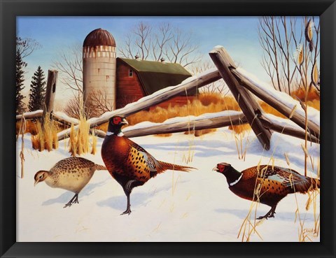 Framed Pheasants II Print