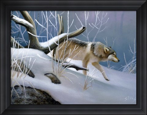 Framed Lone Wolf Print