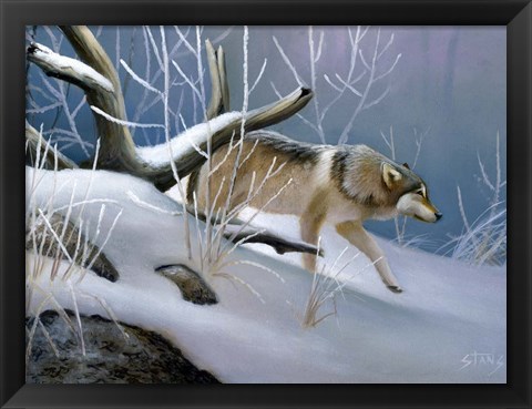 Framed Lone Wolf Print