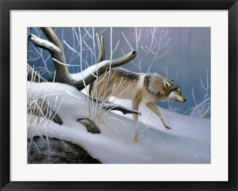 Framed Lone Wolf Print