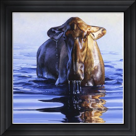 Framed Dreadnought Print