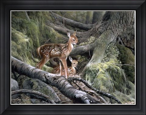 Framed Awakening Print