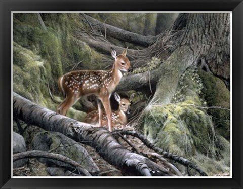 Framed Awakening Print