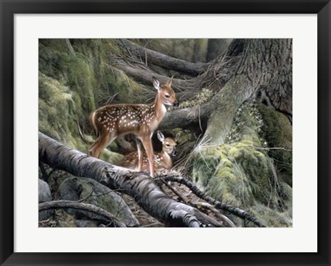Framed Awakening Print
