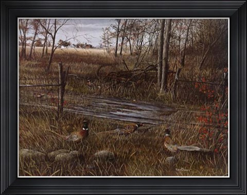 Framed Backroad Gathering Print