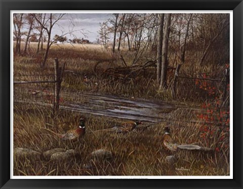 Framed Backroad Gathering Print