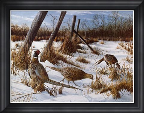 Framed Daybreak Print