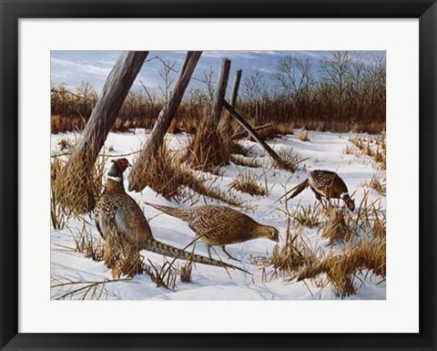 Framed Daybreak Print