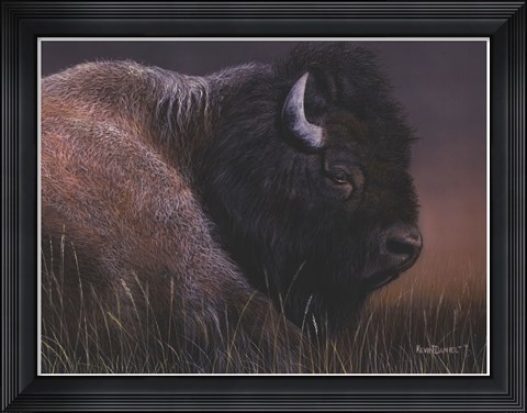Framed American Icon- Bison Print