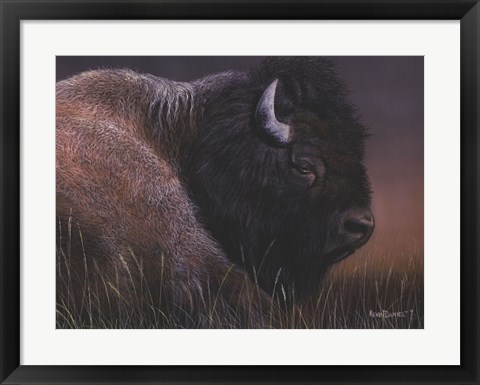 Framed American Icon- Bison Print