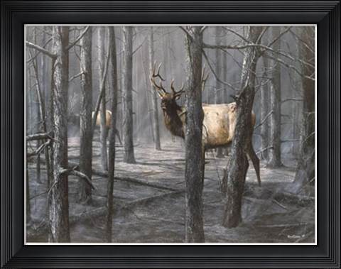 Framed Consequence of Fire Print