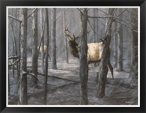 Framed Consequence of Fire Print