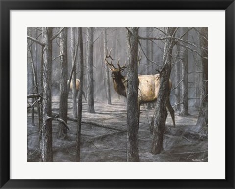 Framed Consequence of Fire Print