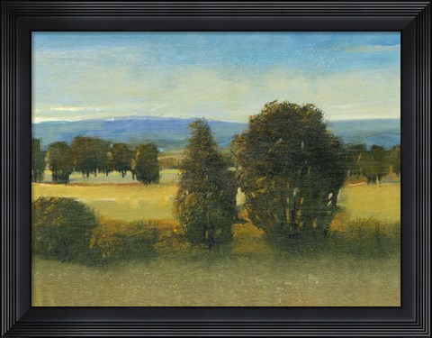 Framed Verdant Meadow I Print