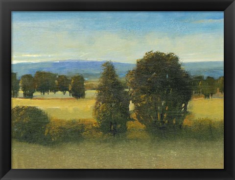 Framed Verdant Meadow I Print