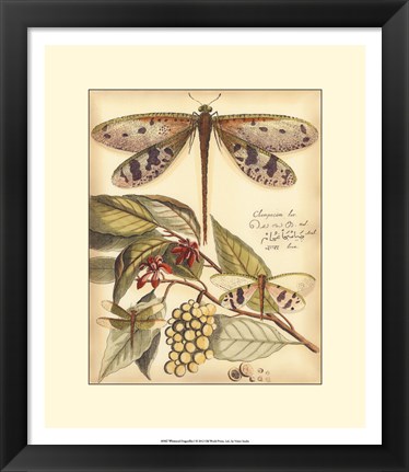 Framed Whimsical Dragonflies I Print