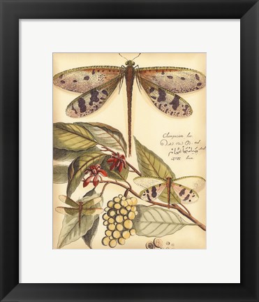Framed Whimsical Dragonflies I Print