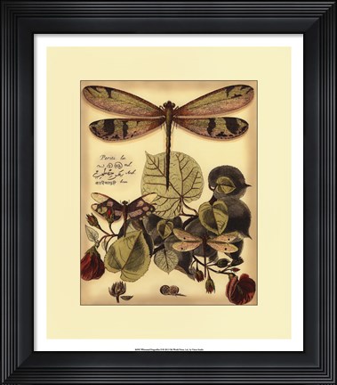 Framed Whimsical Dragonflies II Print