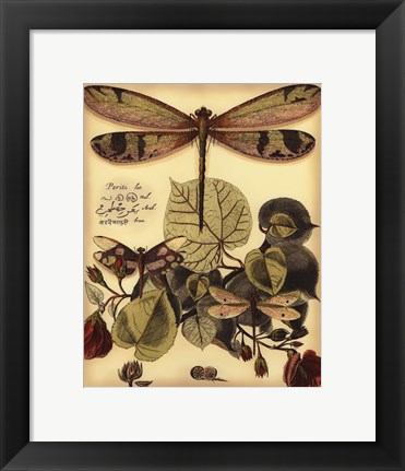 Framed Whimsical Dragonflies II Print