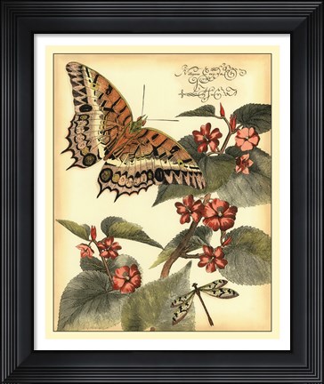 Framed Whimsical Butterflies II Print