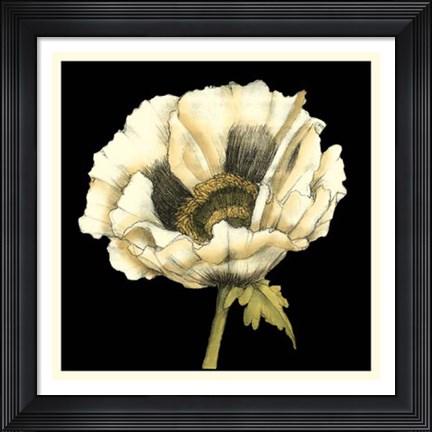 Framed Dramatic Poppy I Print