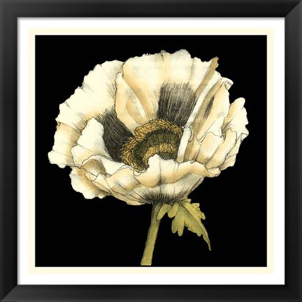 Framed Dramatic Poppy I Print