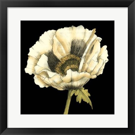 Framed Dramatic Poppy I Print