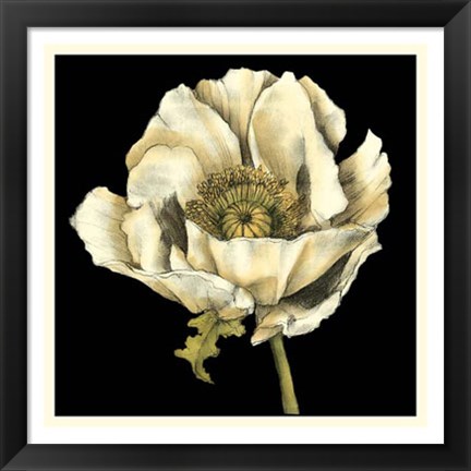 Framed Dramatic Poppy II Print