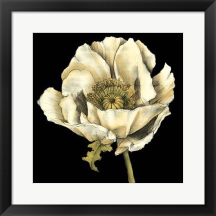 Framed Dramatic Poppy II Print